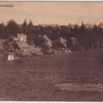 Sachsen - Groß-Schweidnitz (Löbau) Ortsansicht sw-AK gelaufen 1926