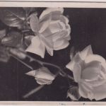 DR - 6 Pfg. AH Ortskarte (Glückwunsch) Crottendorf 22.3.45