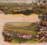Sachsen - Braunsdorf b. Lichtenwalde haus Flechsig etc. farb-Mehrbild-AK 1903
