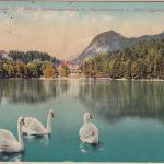 Bayern - 7 1/2 Pfg. Ludwig Karte i.d. SCHWEIZ Trauchgau 1917 Retour/Zensur