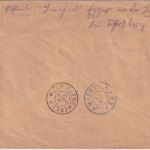 Bayern - 25 Pfg. Germania/Freistaat waagr. Paar Einschreibebrief Rosenheim 1919