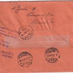Bayern - 60 Pfg. Ludwig Einschreibebrief Nürnberg 11 - Halle a/S. 1920