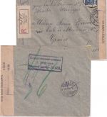 Russland - 2x10 Kop. Wappen Einschreibebrief i.d. SCHWEIZ Caricyn - Genf 1916