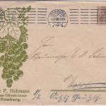 DR - Hohmann Malaga-Südwein-Import 3 Pfg. Germania Privatganzsache 1908