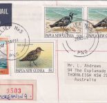 PNG - 2x60 T. Vögel u.a. Luftpost-Einschreibebrief Moreguina/Relief No.5 1991