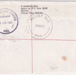 PNG - 2x60 T. Vögel u.a. Luftpost-Einschreibebrief Moreguina/Relief No.5 1991