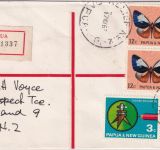 PNG - 2x12 C. Schmetterling u.a. Einschreibebrief Kagua/Relief No. 2 12.5.67