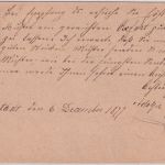 Bayern - K. Bayer. Bahnpost Typenradstpl. 5 Pfg, Ganzsache Grünstadt Worms 1877