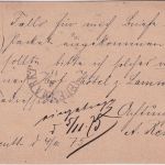 Bayern - K. Bay. Bahnpost Bayreuth Neuenmarkt HKS 2 Kr. Ganzsache Bayreuth 1875