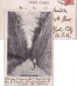 Dänisch Westindien - 10 Bit Christian IX. Ansichtskarte n. USA St. Thomas 1906