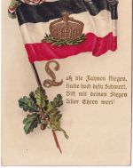 Patriotika Kaiserreich Fahne m. Lorbeerkranz u. Eichenlaub farb. Prägekarte 1916