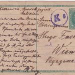 Ukraine/Polen - 8 H. österr. Ganzsache Kienica - Wien 14.5.1919 - Zensur