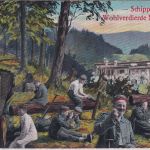 DR/Schweiz - Gebirgs-Kanonen-Abt. Nr.5 Feldpostkarte n. Solothurn 1916 Nachporto