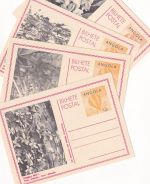 Angola - 12 A. picture stationery postcard (4 pictures) all unused