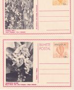 Angola - 12 A. picture stationery postcard (4 pictures) all unused