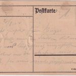 DR - 10+5 Pfg. Holztaube Luftpostkarte Dresden - (Berlin) - Hamburg 22.8.24