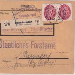 DR - 2x15 Pfg. Strohhut Dienstpaketkarte Plaue-Bernsdorf - Wermsdorf 1935