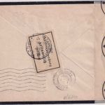 DR - 25 Pfg. Hindenburg Wz2 Trauerbrief n. FRANKREICH Schneidhain 1933