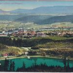 DR - Geprüft Überwachungsstelle Waldshut XIV. AK Zensur-L4 Karte Säckingen 1915