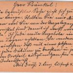 Fürth - Privat-Stadt-Brief-Verkehr 2 Pfg. Wappen Ganzsache/Karte 13.4.98