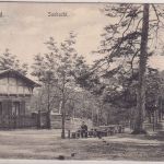 Berlin - Grunewald Saubucht sw-AK gelaufen 1905