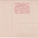 Preussen - Kronprinz Wilhelm v. Preussen + Cecilie + kl. Prinz sw-Foto-AK 1906