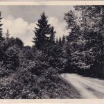BRD - (16) Tromm ü. Wald Michelbach Landpost-Ra Karte n. München