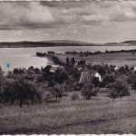 Württemberg - Wallhausen a. Bodensee Ortsansicht sw-Foto-AK gelaufen 1961