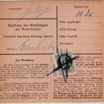 Bayern - 10+20+5 Pfg. Ludwig Nachnahme-Paketkarte Schalding - Hirschhorn 1916