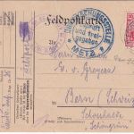 DR - 10 Pfg. Germania Feldpostkarte (Landwehr-IR No.25) i.d. SCHWEIZ 24.1.1916