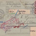 DR - 30+50 Pfg. Germania o.Wz. Paketkarte i.d. SCHWEIZ Oberfrohna - Biel 1903