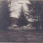 Bayern - Sachsenkam Pelletsmühl (Bauernhof) priv. Foto-AK gelaufen 1911