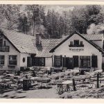 Niedersachsen - Bad Nenndorf Mooshütte sw-AK gelaufen 1956