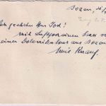 Italien - 1 L. Engel u.a. Luftpostkarte Bozen (Espressi) - Heidelberg 1936