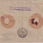 Österreich - 1 K. Wappen u.a. Wertbrief Wien Heidelberg 21.9.18 Devisenkontrolle