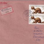 DDR - 2x35 Pfg. Steinmarder Einschreibebrief Dresden - Ebersbach 1989
