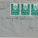 Österreich - 3x20g Esperanto-Kongreß Brief/FDC Innsbruck - Seefeld 25.6.49