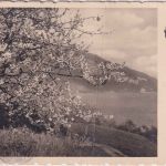 Österreich - 25+20g Flugpost Luftpostkarte n. RUMÄNIEN Wien - Hermannstadt 1936