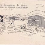 Schweiz - Int. Flugmeeting Genf 1925 Sonderkarte + Vignette n. Basel