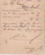 DR - 5 Pfg. K/A Zwischensteg Perfin "ZWw" Firmenkarte Bonn - Allenbach 1897
