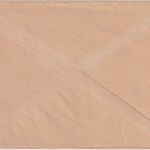 DR - Berlin NW40 1938 3 Pfg. AFS "Reichsverlagsamt" Drucksachenbrief (Vordruck!)