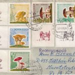 UdSSR - Pilze Satz m. Zierfelder Einschreibebrief/RSch. Riga - Mülheim a.R. 1968