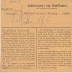 DR - 25+30 Pfg. Hindenburg Paketkarte (Blumen !) Nossen - Limbuch 1941