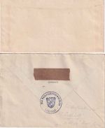 Bizone - (13b) Litzldorf ü. Rosenheim Landpost-Ra2 2 Briefe 21.8./4.12.48