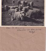 DR/All.Bes. - St. Ottilien 2 Belege (Bahnpost/Gebühr bezahlt) 1942/1945