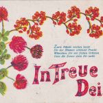 DR - Straubing 1917 Feldpostkarte (Rekrutendepot Jakobsschule) n. Perlkam (?)