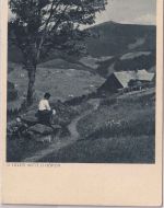 DR - Würzburg 1937 "Schafft Heime..." Karte n. Bernstein a. Wald (RAD !)