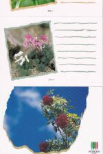 Japan - 5x41 Yen Ganzsachenkarten/Blumenmotive blanko gestempelt 1990 (?)