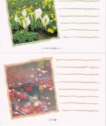 Japan - 5x41 Yen Ganzsachenkarten/Blumenmotive blanko gestempelt 1990 (?)