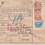 Niederlande - 3x50+15 C. Taube Paketkarte/Fremdarbeiter s'Gravenhage Berlin 1943